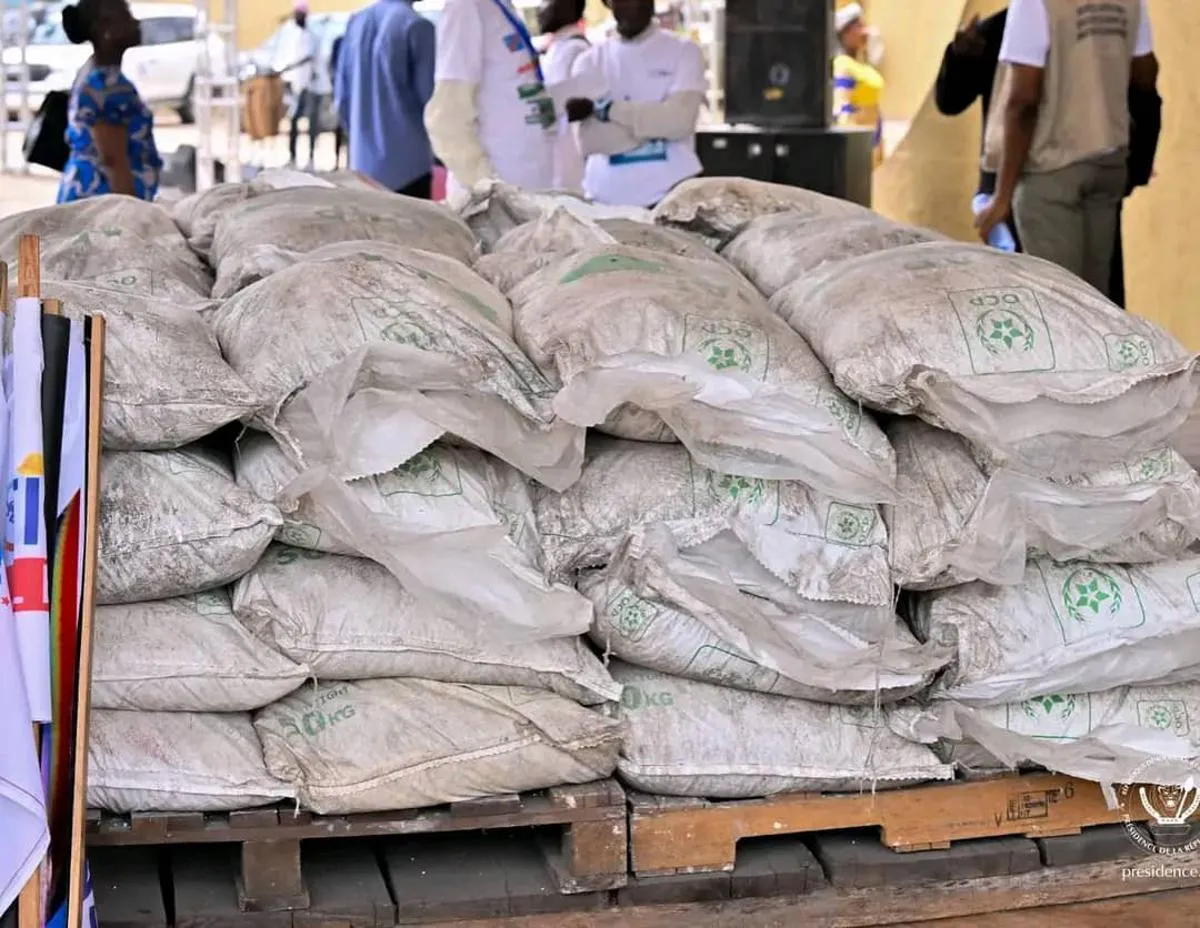 Nord-Kivu : 4 000 foyers agricoles relancent leur production grâce à une aide aux semences