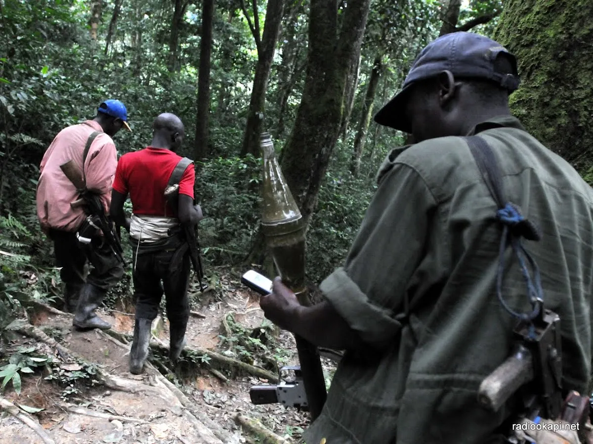 Opération contre les FDLR : quatre mois après, l’échec persiste