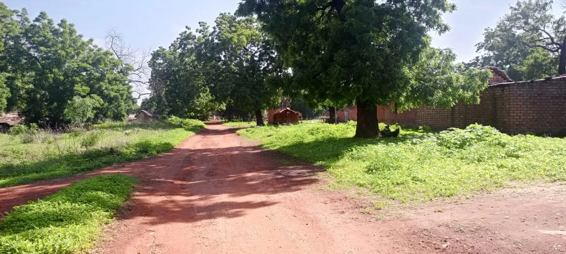 Tragédie routière au Tchad : un mort et un blessé grave dans une collision de motos