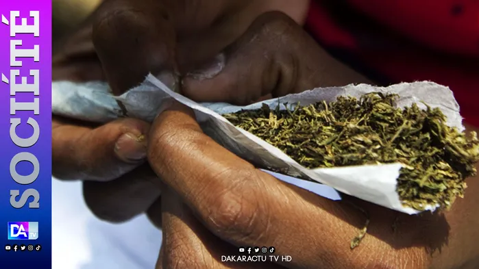 Condamnation pour détention de drogue : D.Mady Cissokho écopé d’un an ferme