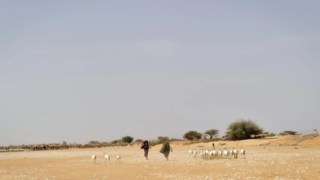 400 ONG exigent que la restauration des terres devienne un pilier de la paix mondiale