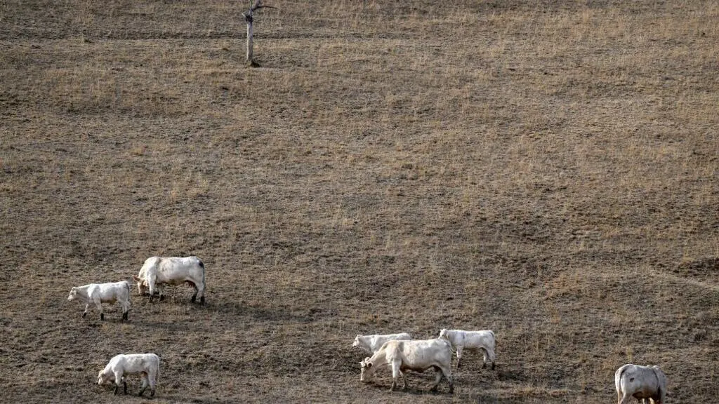 COP17 à Oulan-Bator : la France reconnue parmi les nations touchées par la dégradation des sols