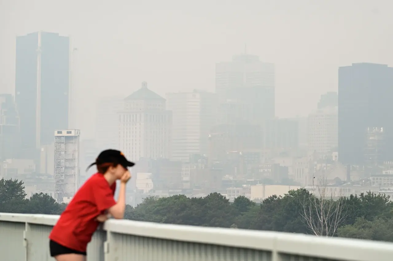 Face à la crise climatique : surmonter la sidération par l'action collective
