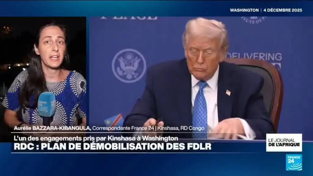 Protocole en RDC pour désarmer les FDLR : une avancée fragile contre l’instabilité régionale