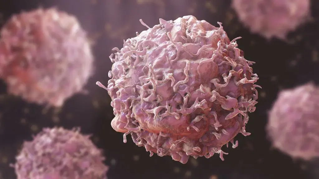 Le gouvernement nigérian exige la continuité des soins pour les patients atteints de cancer