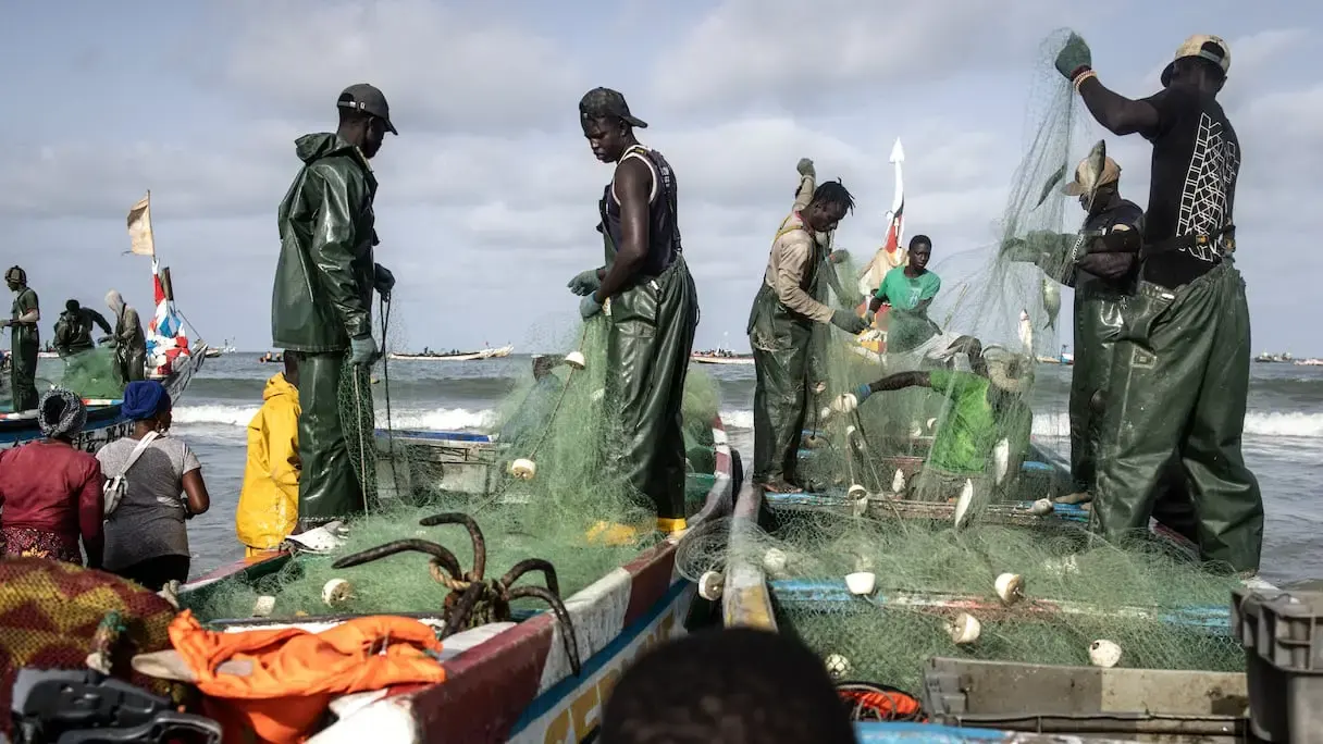 Le Sénégal doit transformer ses poissons sur place pour booster son économie et sa sécurité alimentaire