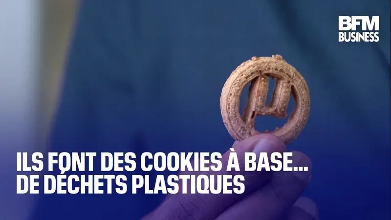 Des biscuits protéinés à partir de plastique recyclé : une innovation qui interroge l'économie circulaire