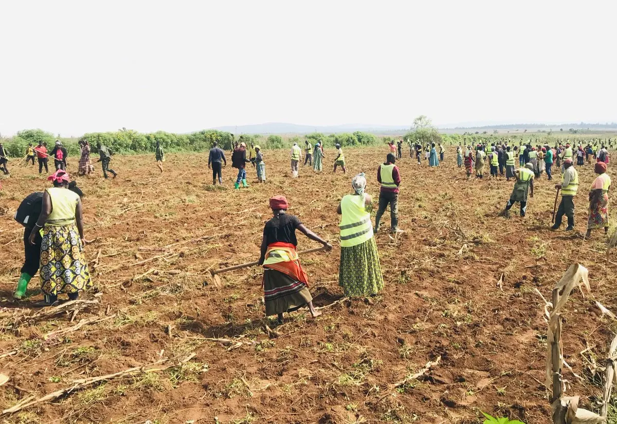 Rwanda : La BAD réoriente ses financements vers l'agriculture