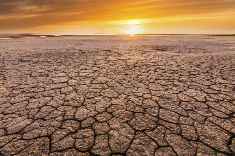 COP17 à Oulan‑Bator : la France exige une mobilisation mondiale contre la désertification et lance le hub « Business for Land »