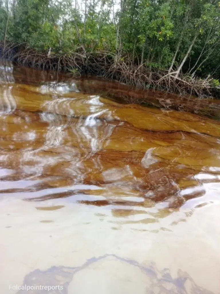 La communauté d'Odidi menace de paralyser les opérations pétrolières sur l'OML 42 face à une pollution persistante