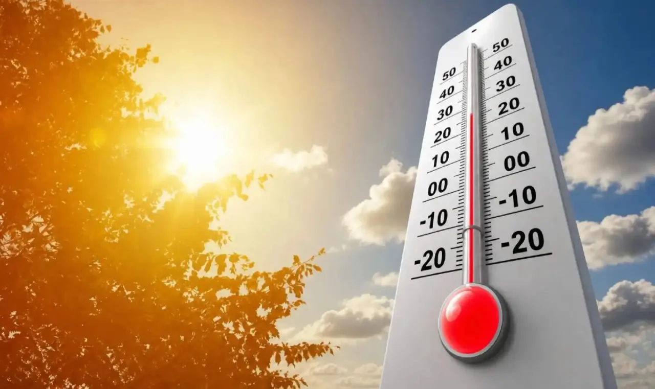 L'Algérie sous tension climatique avec des pics de chaleur à 49 °C et des vents violents