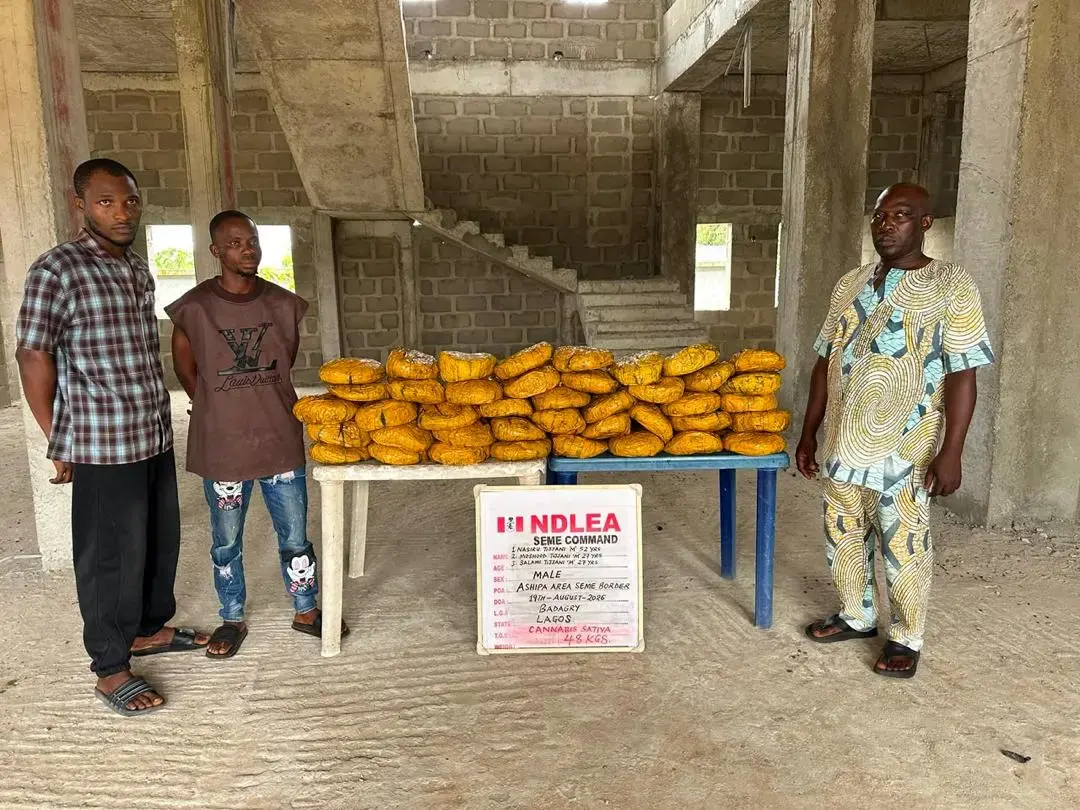 La saisie record de 4,4 milliards de nairas de cannabis thaïlandais révèle une nouvelle route de trafic vers le Nigeria