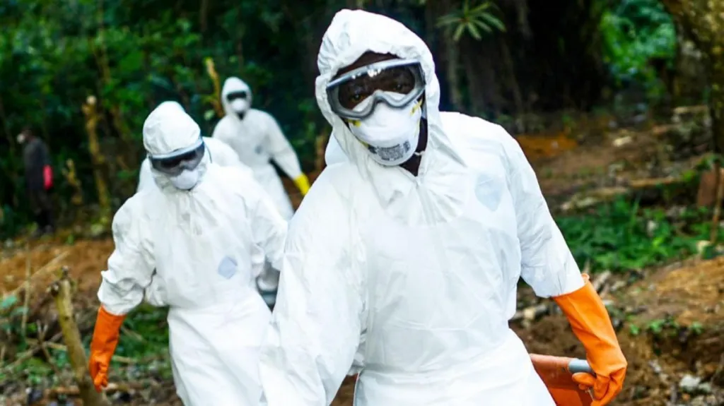 Nouvelle souche d’Ebola en RDC : une transmission animale à l’origine de l’épidémie