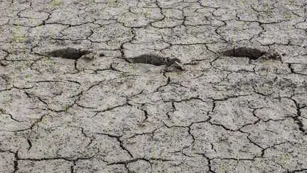 El Niño 2026 : un phénomène climatique historique qui menace l'Afrique et l'Europe