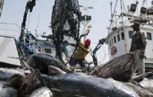 L’Assemblée nationale du Sénégal lance une enquête parlementaire sur les licences de pêche industrielle