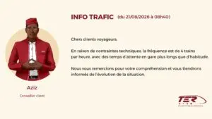 TER : la fréquence des trains divisée par deux ce vendredi 21 août 2026, quelles conséquences pour les usagers ?