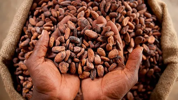 Le Ghana réforme son cadre législatif avec dix nouvelles lois touchant l'économie et la justice