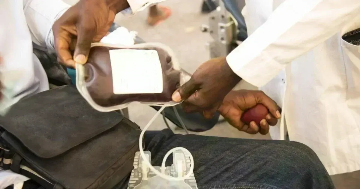 Ziguinchor bat des records de dons sanguins : plus de 100 poches collectées en une journée
