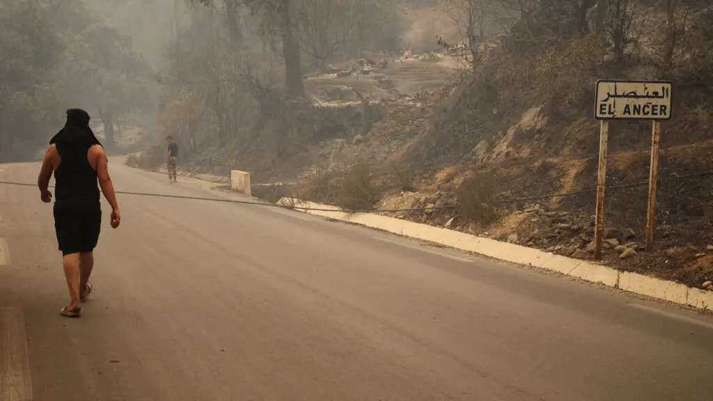 L'Algérie endeuillée par des incendies meurtriers : deuil national et mobilisation d'urgence