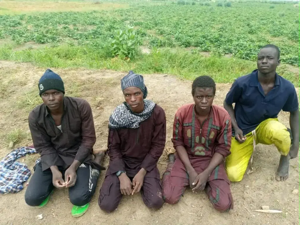 Plus de 150 terroristes déposent les armes dans le Nord-Est nigérian sous la pression militaire