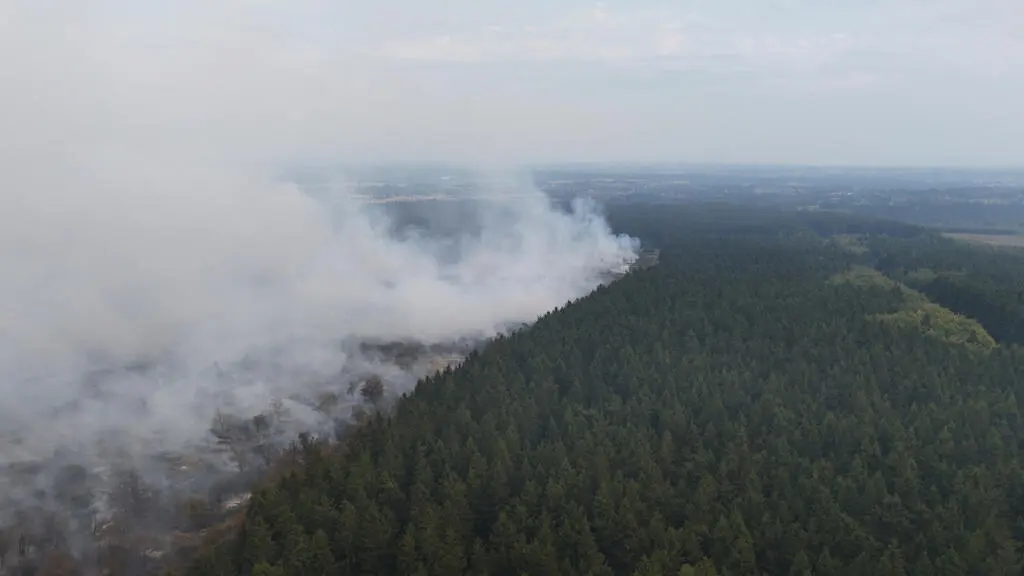 Incendie historique en Belgique : plus de 2 700 hectares ravagés dans les Fagnes