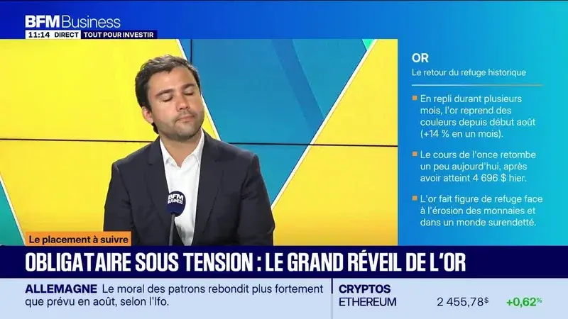 L'Afrique face à l'engouement des investisseurs : les leçons d'une émission française sur les actifs alternatifs