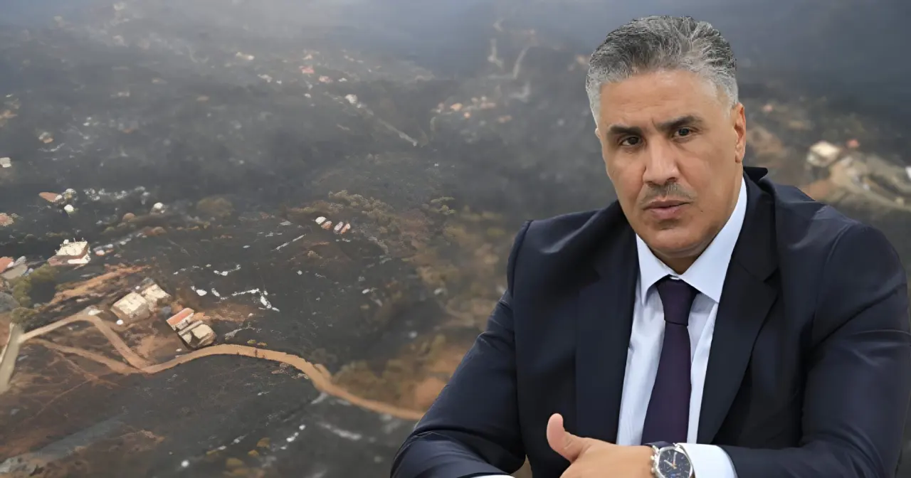 Incendies en Algérie : le gouvernement accélère l'indemnisation des sinistrés et la reconstruction
