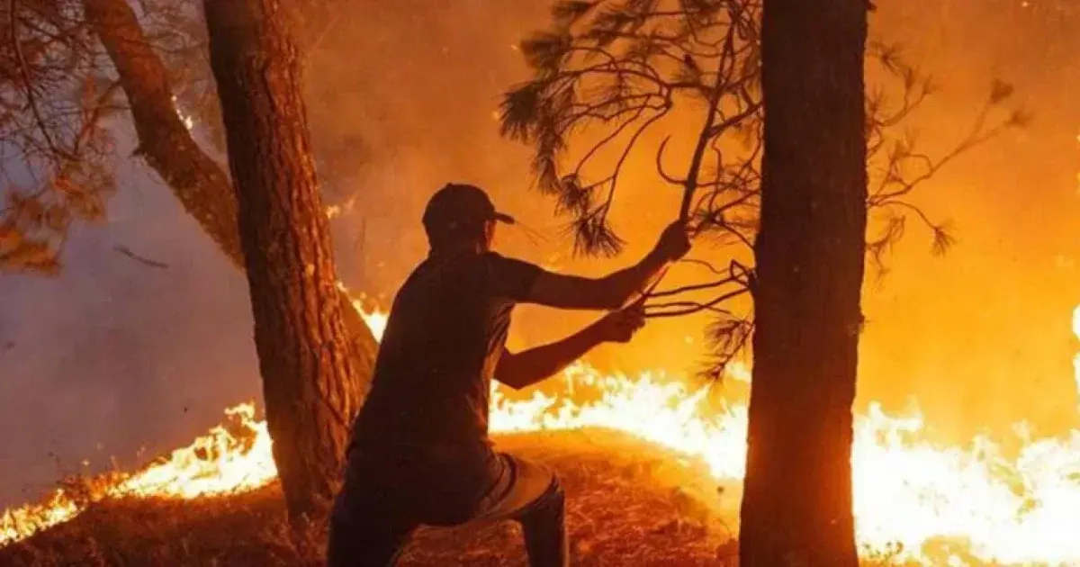L'Algérie en état d'urgence après des incendies meurtriers dans le nord-est