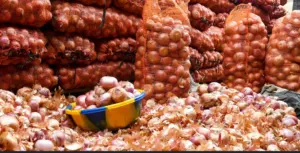 Le Sénégal lève le gel des importations d'oignons pour endiguer la flambée des prix sur les marchés dakarois