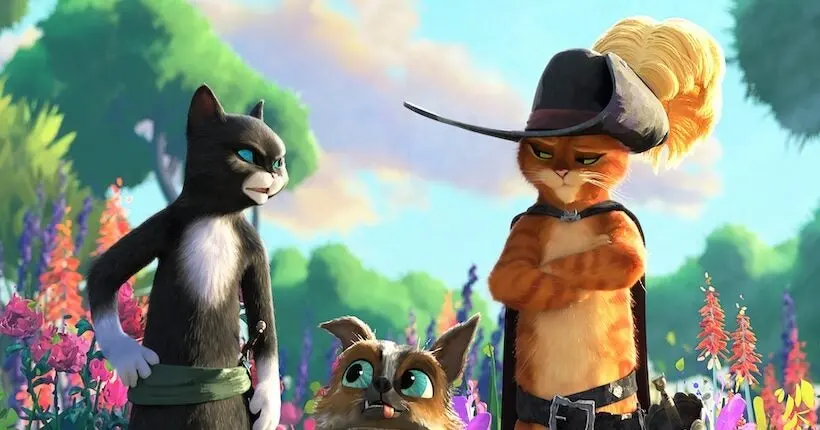 Le Chat Potté pourrait-il revenir ? Les réalisateurs laissent planer le doute