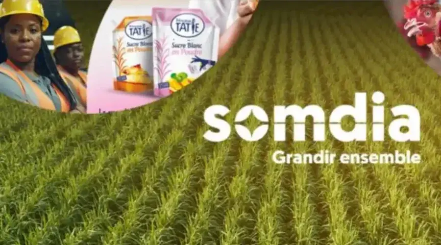 Sosucam : Somdia mise sur la confiance pour réussir la cession malgré les turbulences médiatiques