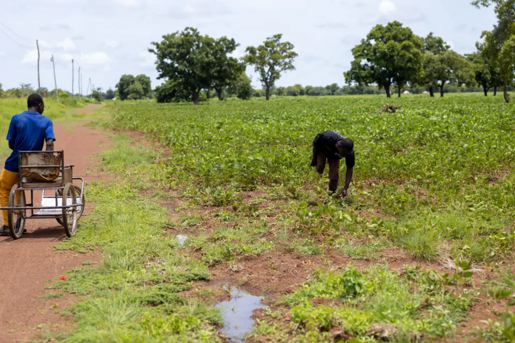 Au Ghana, l'entrepreneuriat des jeunes face au défi de l'accès au capital et aux compétences