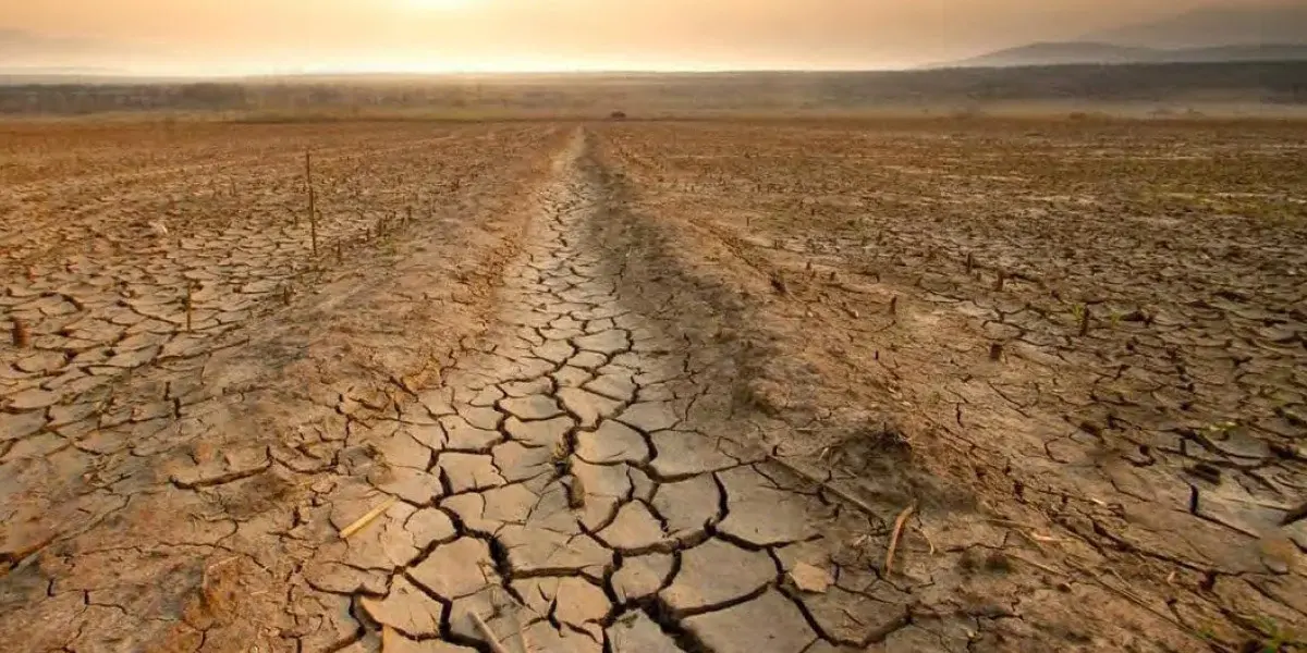 Le phénomène climatique El Niño pourrait atteindre une intensité inédite au cours des prochains mois