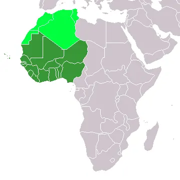La stabilité en Afrique de l'Ouest exige une refonte de la gouvernance au-delà de la réponse militaire