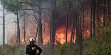 Incendies en France : une facture de 500 millions d'euros qui souligne l'ampleur des dégâts climatiques
