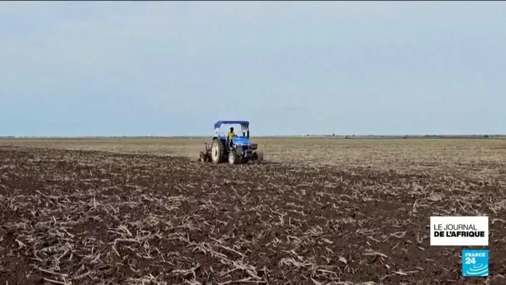 Soudan : El Niño menace les récoltes et aggrave la crise alimentaire