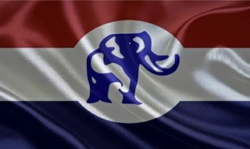 Le New Patriotic Party entame le processus de sélection de ses futurs cadres nationaux
