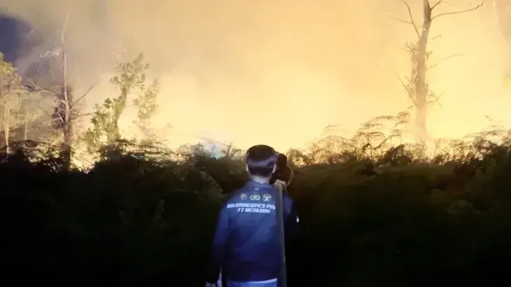 Un enfant de Gaza détruit ses cerfs-volants sous la menace israélienne : l'impact psychologique sur les civils