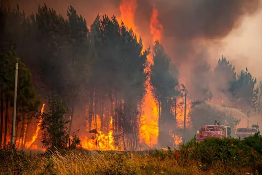 Mégas feux en France : des milliers d'évacués dans le Var, 42 000 hectares brûlés en Gironde