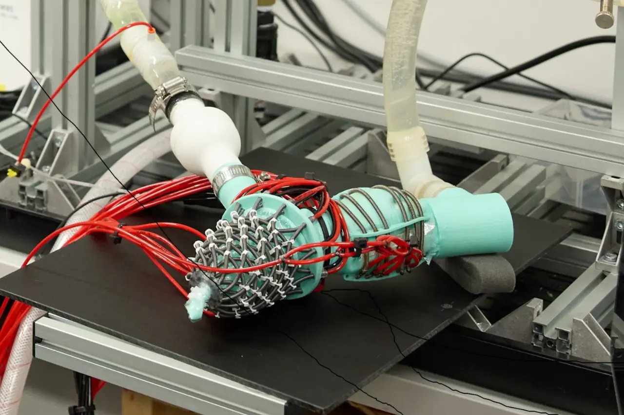 Des chercheurs australiens conçoivent un cœur robotique pour révolutionner les tests de traitements cardiaques