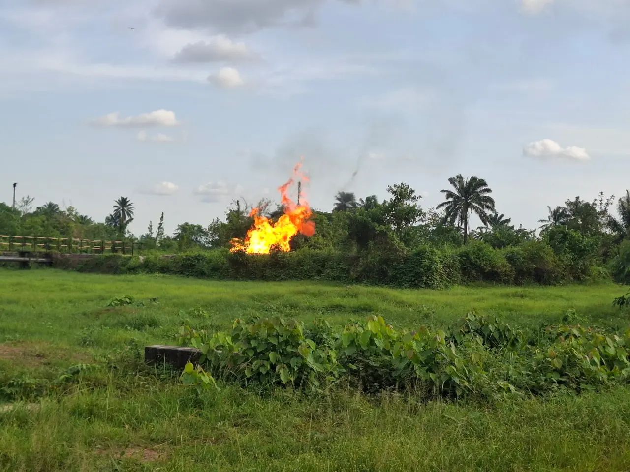 Le Nigeria laisse brûler son gaz sans sanction : les communautés du Delta paient le prix fort