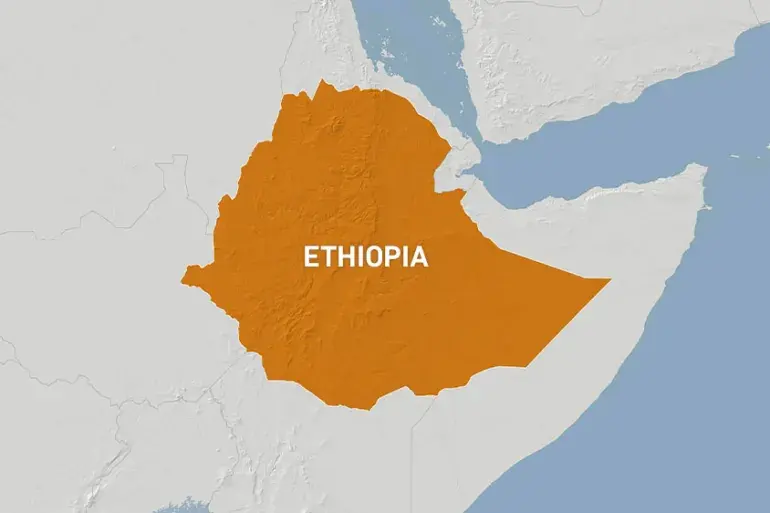 Sept groupes armés éthiopiens s'unissent pour contester l'autorité du gouvernement d'Abiy Ahmed