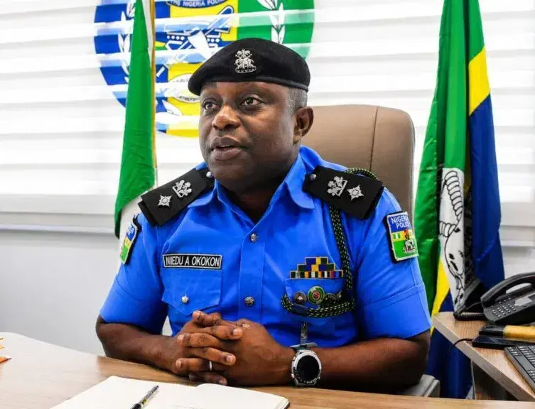 La police nigériane refuse de gérer les vaches errantes à Abuja : qui est responsable ?