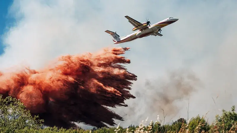 La prolongation inédite de la saison des feux de forêt en France souligne l'urgence de l'adaptation climatique