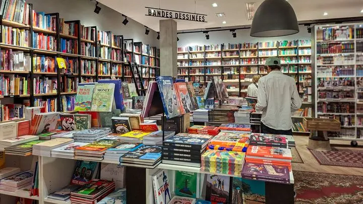 Le neuvième art comme outil d'analyse : quand la bande dessinée décrypte les enjeux contemporains