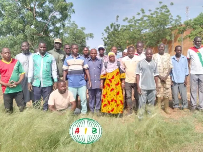 Tangaye (Yatenga) délimite ses espaces administratifs et éducatifs grâce à une plantation d’eucalyptus, initiative locale pour l’environnement