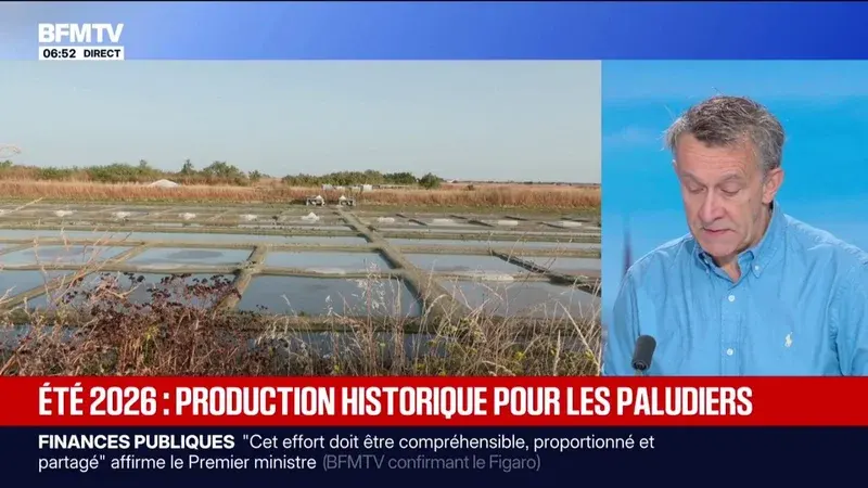 Les paludiers réalisent une production record de sel en dépit de la canicule et de la sécheresse