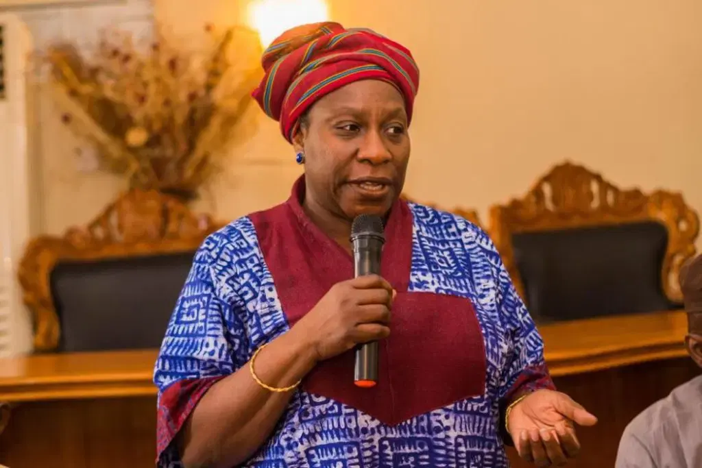 Le PDP dénonce une campagne de désinformation sur l'éligibilité d'Iyabo Obasanjo aux élections de 2027
