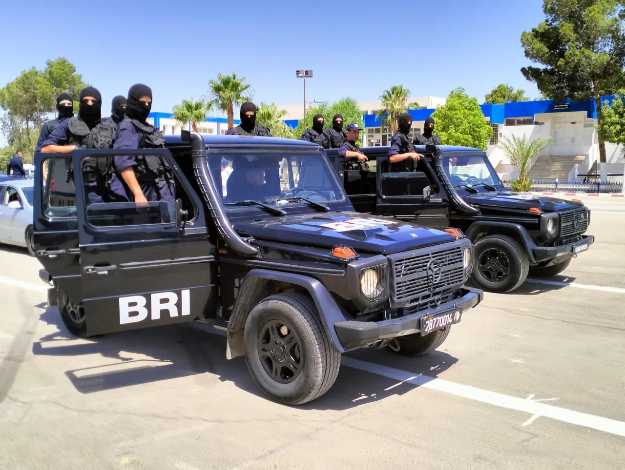 Un vaste réseau de narcotrafic démantelé à Oran après la saisie de 228 kg de cocaïne