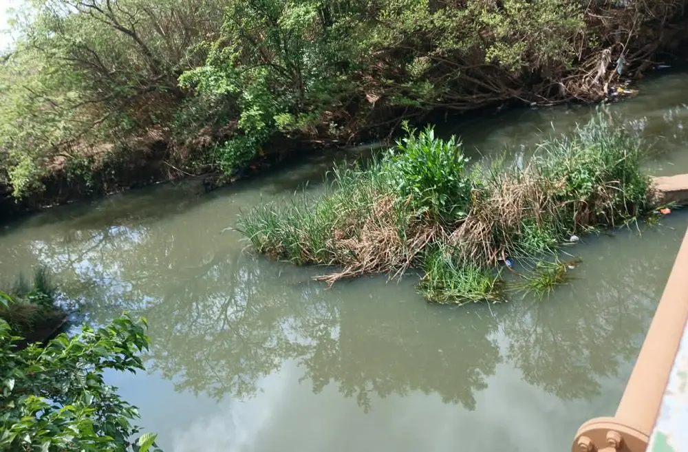 La crise de l'eau potable à Thaba Chweu expose les défaillances persistantes de la gestion municipale